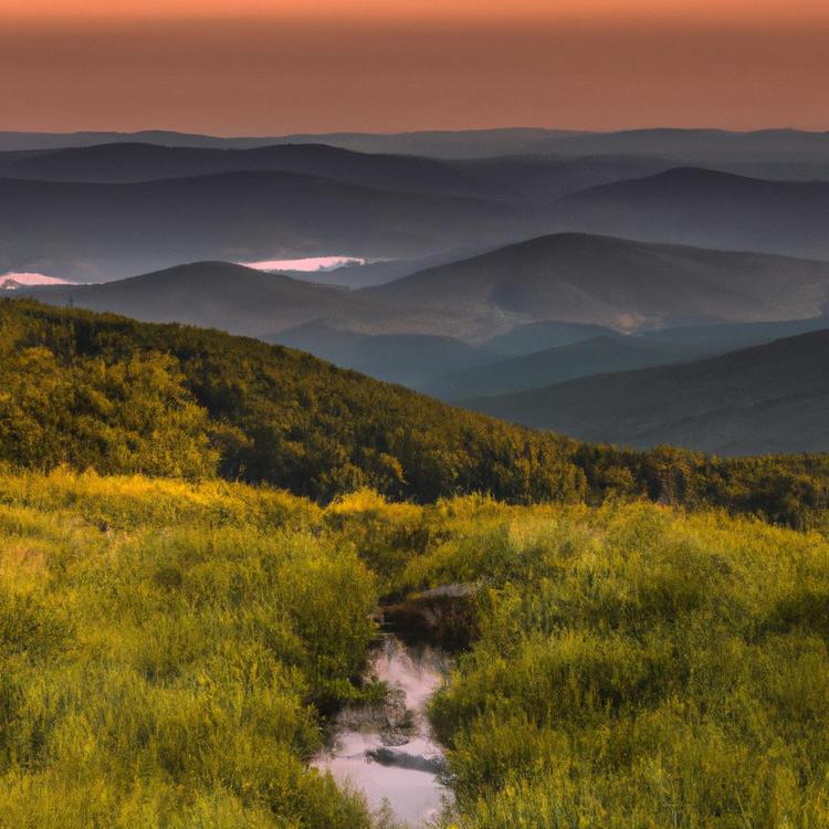 Gdzie są Bieszczady?